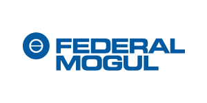 Federal Mogul - Germany